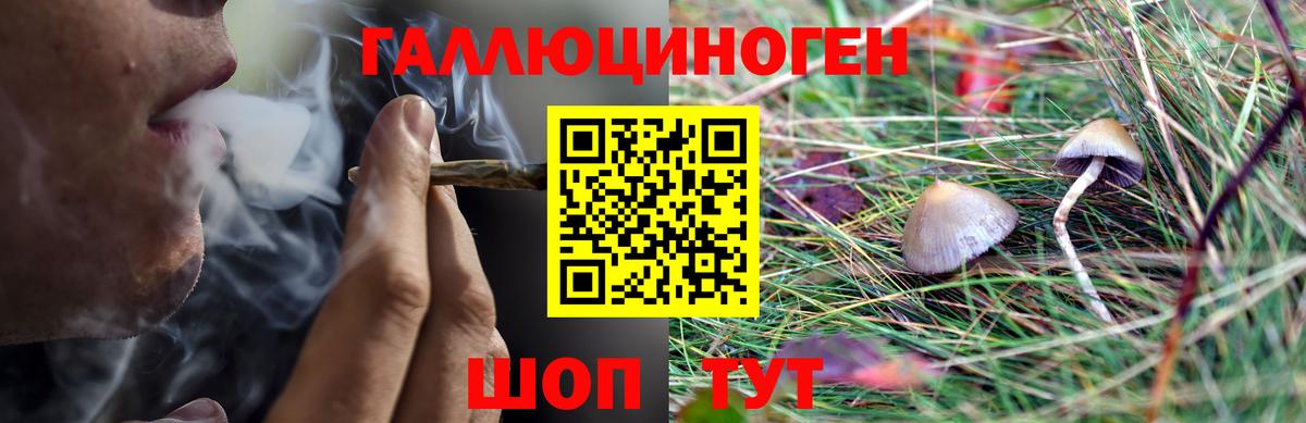Самара  Псилоцибиновые грибы мухоморы  Галлюциногенные грибы прущие грибы  Вход с VPN 